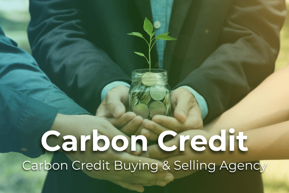 Carbon Credit